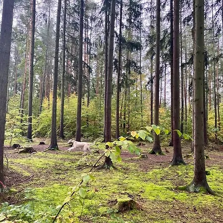 Venkovský dům Apartmá V Rodinném Domě Kousek Od Prahy